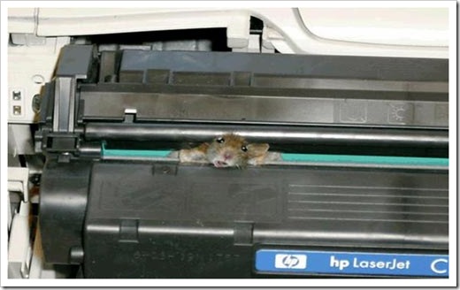 Mouse-in-printer