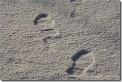 footprints