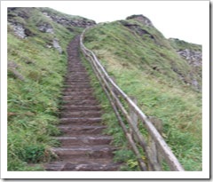 Steps