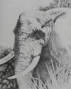 Tami's Art - Big Five